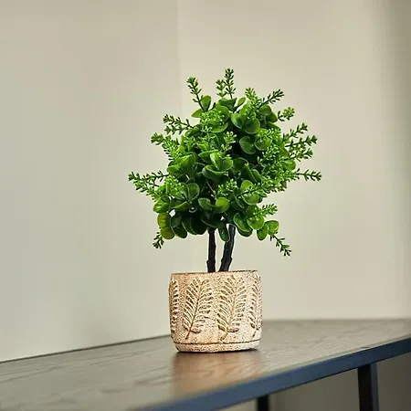 Cozy Modern Km 0 * Craiova