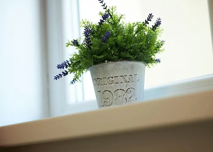 Apartment Cozy Modern Km 0 Craiova