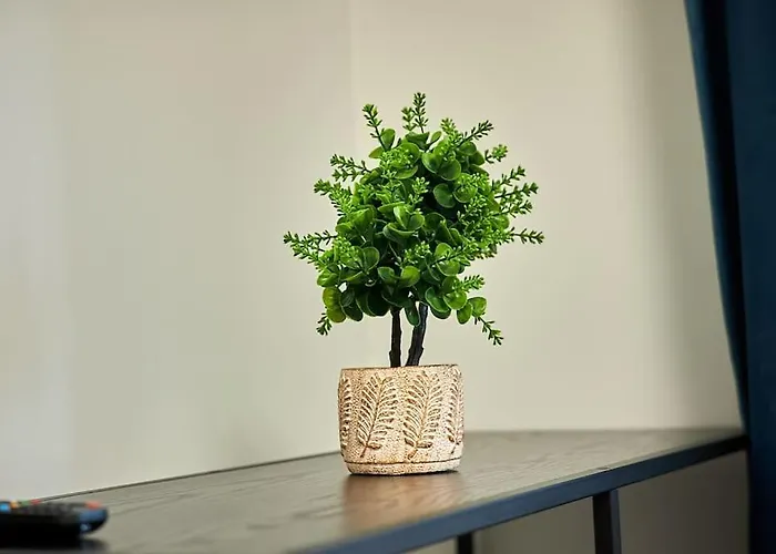 Cozy Modern Km 0 * Craiova